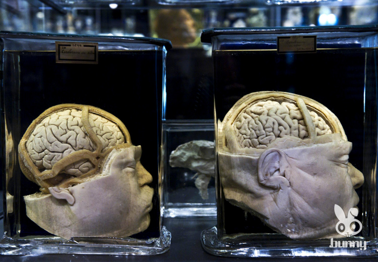 Орон орны хамгийн “хачирхалтай – 10” музей